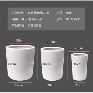 现代简约纯白直筒花盆散尾葵绿萝发财树盆栽特大号高筒陶瓷花盆