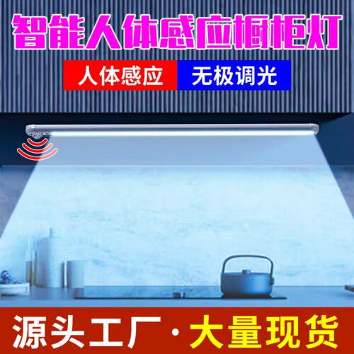 LED小夜灯家用衣柜人体感应橱柜灯卧室床头学生宿舍灯5V充电调光