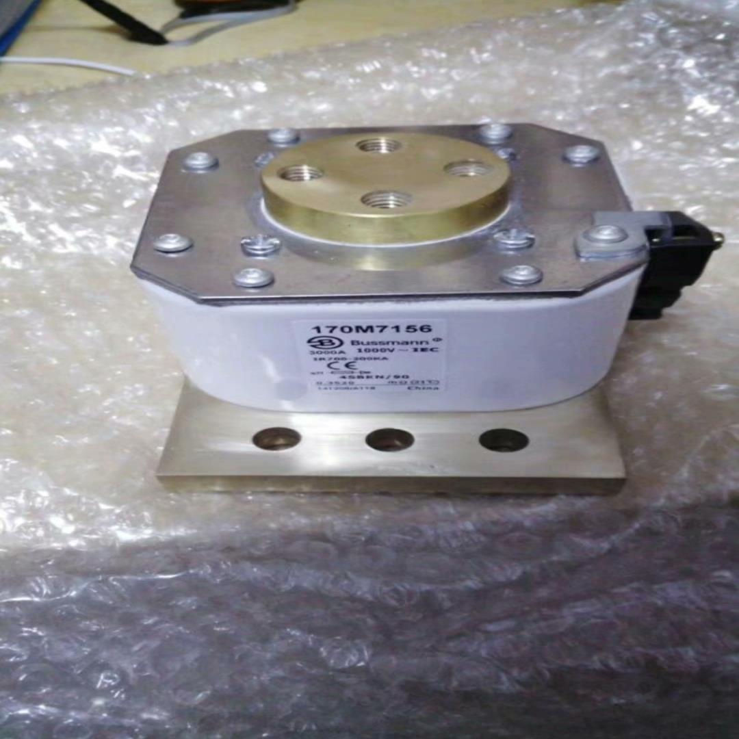 BUSS熔断器170M7156  质保一年(崽崽配件）
