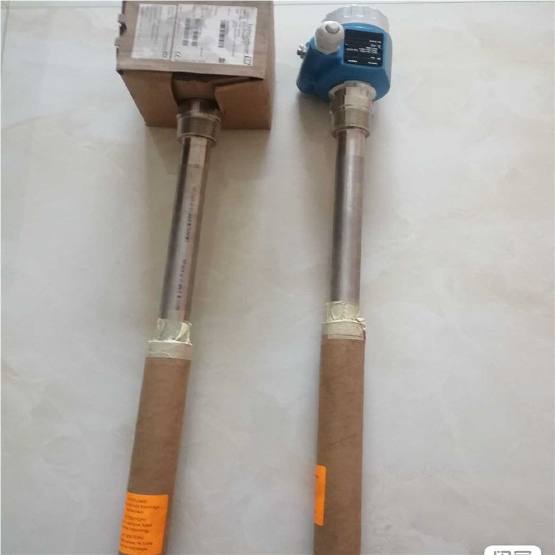 议~E+H  FTM21-AM245A音叉料位计