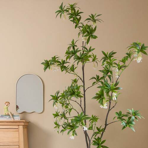 掬石榕彷真绿水色植大涵型室内彷生绿植假盆栽植物盆景客HH6702厅
