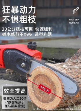 高插电枝锯电果VARIOLUX树树枝修剪机电动修高枝机空锯家用多功能