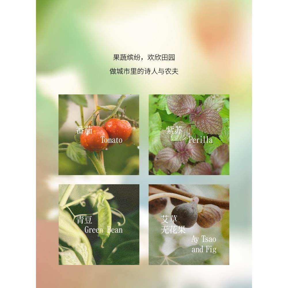 【七夕礼条物】「菜园」LHU子番茄青豆礼紫苏艾草家用无火藤香薰,家居饰品,香薰摆件,淘宝优惠券,粉丝福利购,淘宝优惠卷