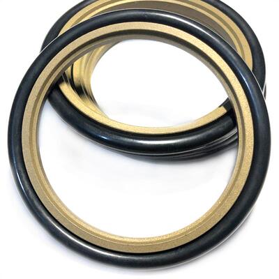 斯特封轴用格莱圈GSR/RS/STd250*271*265.5/260*284.5*8.1*6.3