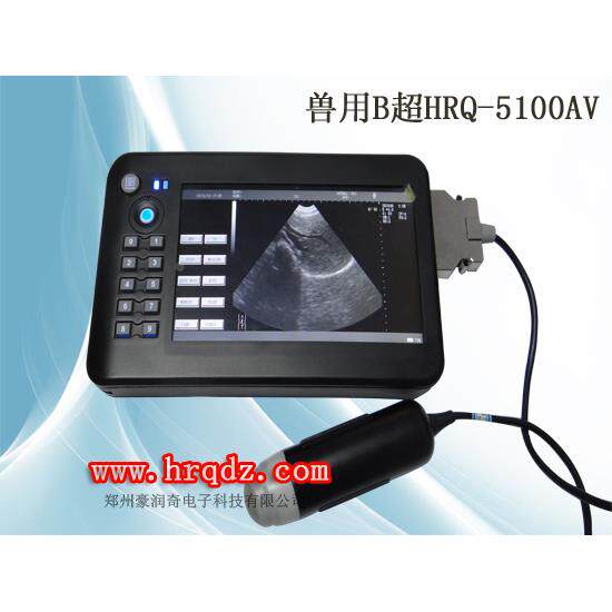 兽用b超彩超测孕仪hrq-5100av 猪牛羊测孕快速测孕仪b超 正品直销