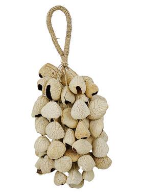 果壳摇非洲植物果实铃手链脚LNX铃串音舞蹈伴奏民族铃乐会乐器手