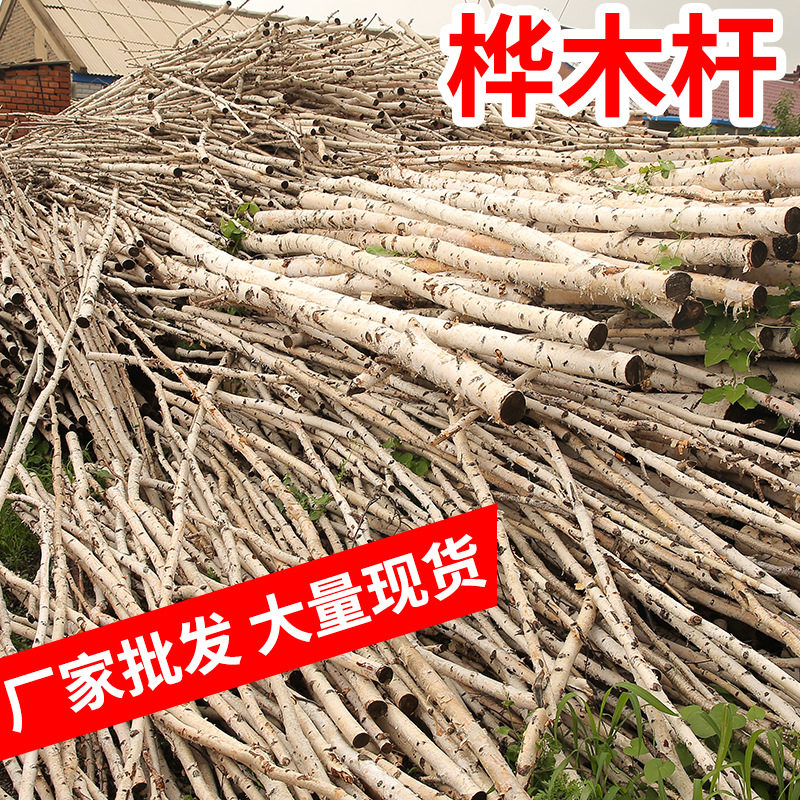 白桦木树干艺术装饰白树干白杨树白桦树隔断玄关婚庆道具干支树桩