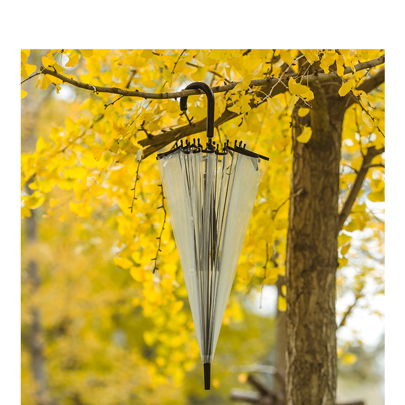 日系简约8骨透明雨伞ins弯柄直杆学生画画写生舞蹈道具 PVC广告伞