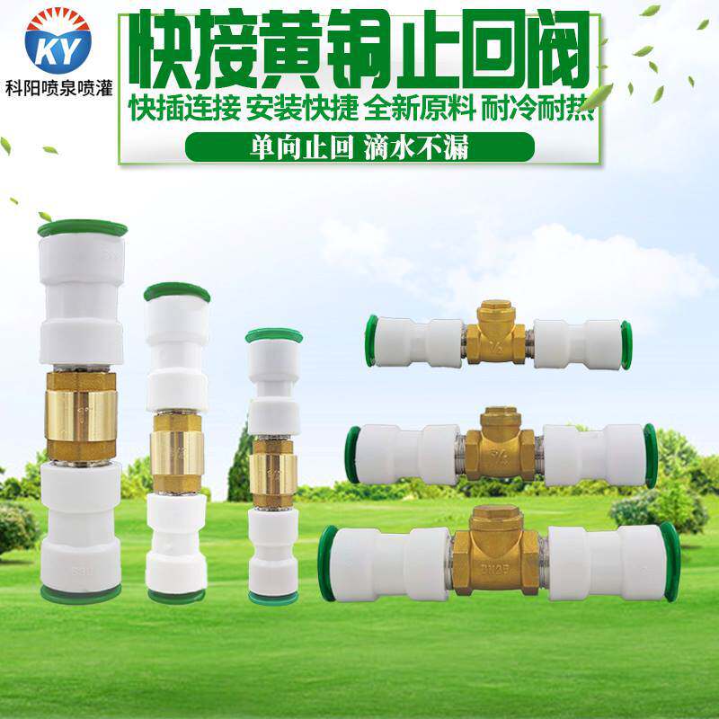 黄铜止回阀弹簧立式单向阀水管螺纹阀门4分6分平装水阀止逆阀锻造