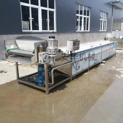 装藕片西兰花漂烫预煮机软果冻酱菜温巴氏BHX杀低菌机榨菜包灭菌