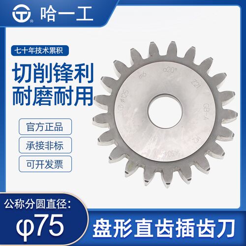哈一工高速钢盘形直齿插齿刀外圆75/100/125mm20A级 可定制非标