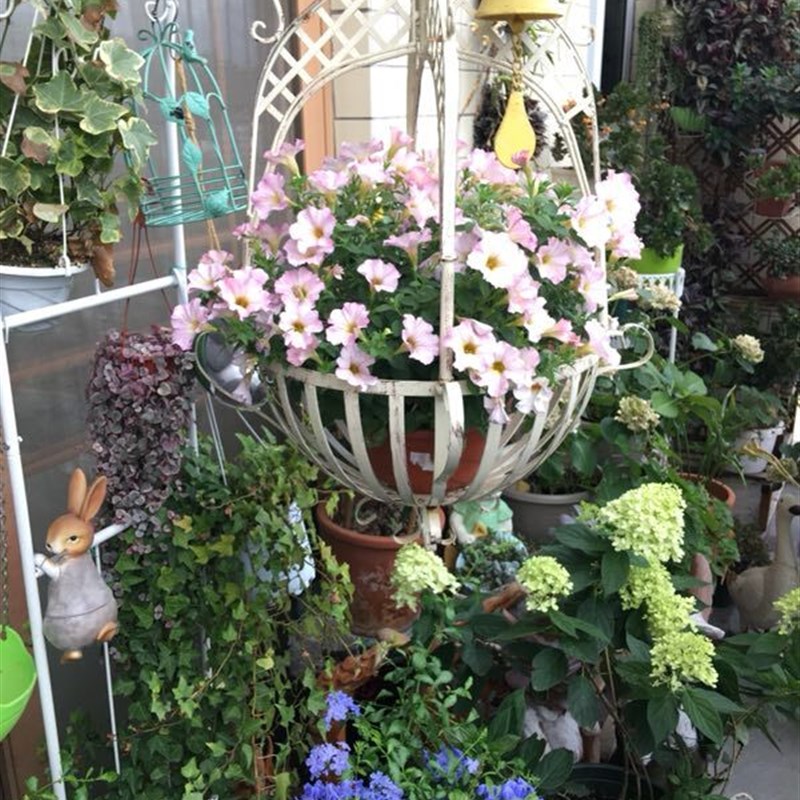 外贸美式乡村g家居铁艺垂吊悬挂吊篮花篮花盆花架多肉植物吊兰绿