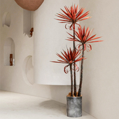 仿真绿植盆栽假植物龙舌兰u大型室内客厅公寓落地仿生植物装 饰摆