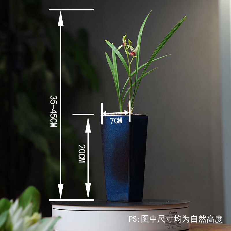 逸红双娇宜兴钧釉建兰o小国魂绿植兰花盆高雅透气桌面室内盆栽花