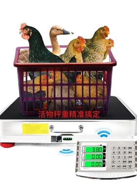 6商00公斤无电1子秤300kg分离线式台秤手提便携50kg称用磅秤