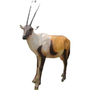 长仿真羊羚羊角山羊绵羊POW雕塑件玻璃钢动物园林景观模型户外草