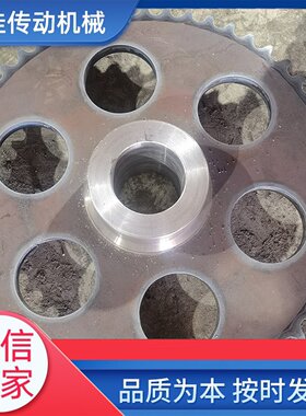 提升机链轮NE15.30.50.100.150.200 工业机械传动双节距齿轮加工