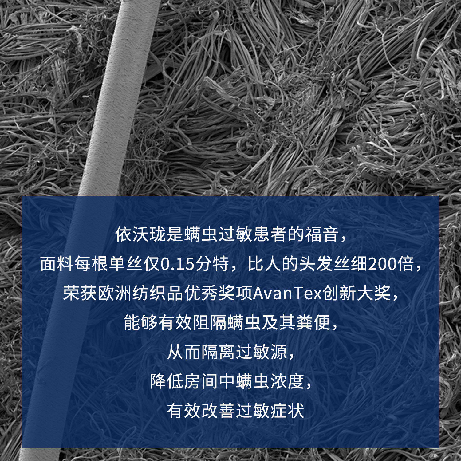 速发安丽珑依沃珑防螨虫学生儿童可水洗无甲醛枕头套防螨枕套