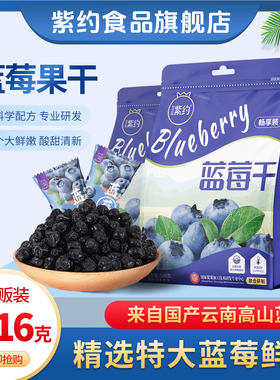 紫约蓝莓干烘焙新鲜水果干特大果干独立小包装休闲零食508g*2大包