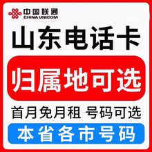 山东济南青岛德州菏泽日照潍坊烟台联通卡上网卡手机卡电话流量卡