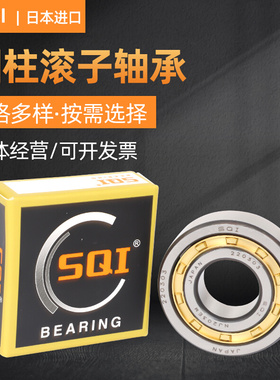 进口圆柱轴承N NU NJ RN NUP 1040 10G44 1048 1052 EW EM C3