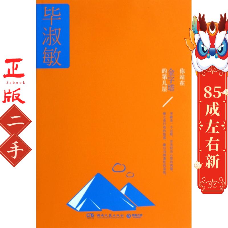 你站在金字塔的第几层 毕淑敏 湖南文艺出版社