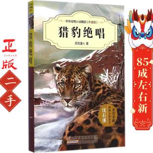 猎豹绝唱 沈石溪 安徽少年儿童出版社