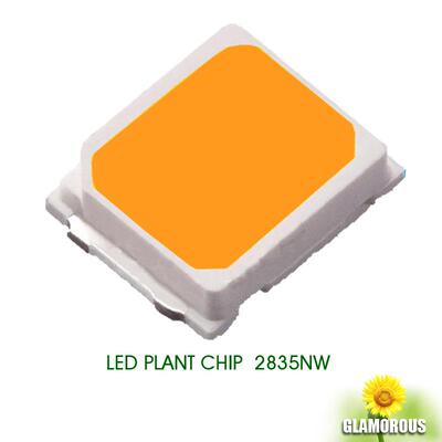 2835led全光谱灯珠2835led贴片灯珠植物生长灯珠28350.5粉紫灯珠
