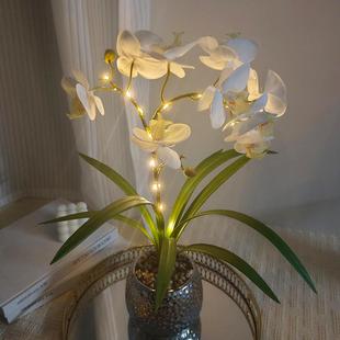 led郁金香蝴蝶兰小夜灯室内仿真花束氛围灯充电款 床头小夜灯