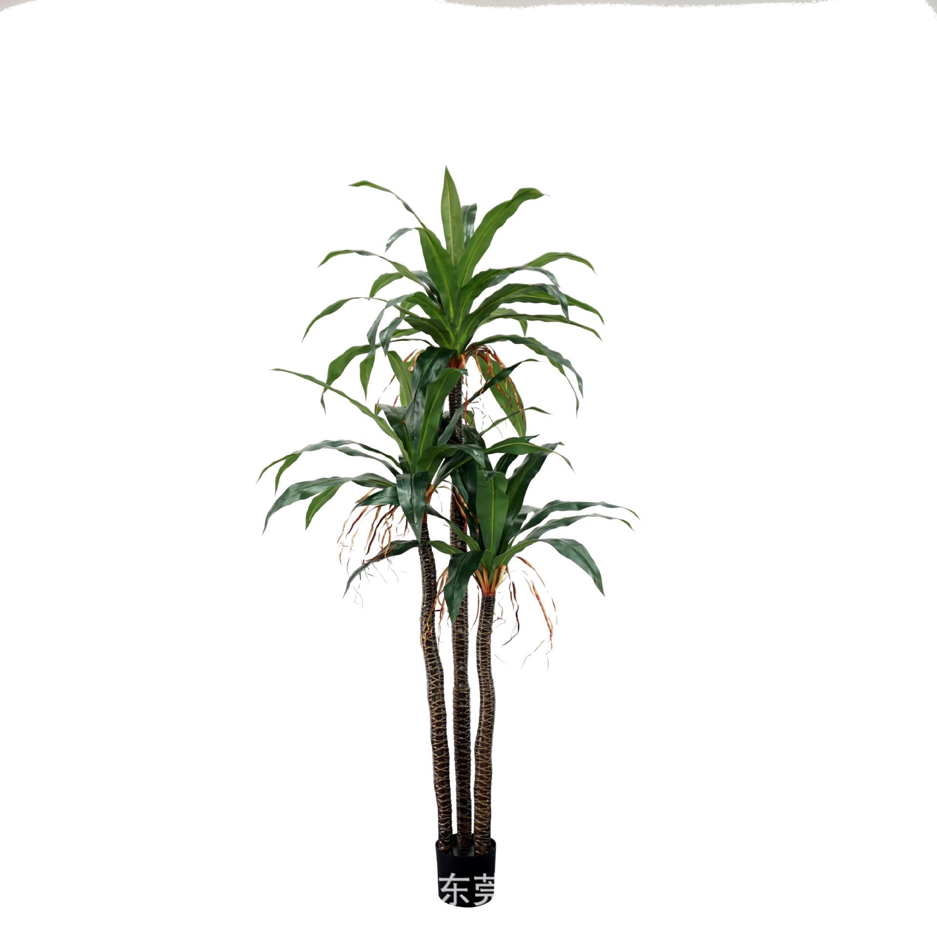 仿真铁树绿植酒店客厅室内大型落地植物装饰花草盆栽巴西铁盆景