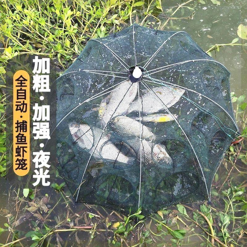 t粗大号加捕鱼笼折叠鱼网只进不出渔网笼扑鱼神器虾笼捕虾网螃蟹