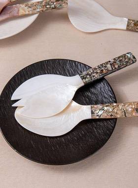 天然海螺贝壳白贝粉贝碎花贝壳饭勺沙拉勺特色手工制品轻奢餐具