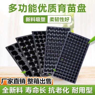 育苗盘育苗盆穴盘塑料杯多肉种植营养钵蔬菜育种扦插营养杯育苗盒