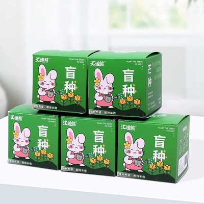 速发种植盆栽儿童植物盆栽小盆栽幼儿园观察植物小学生趣味种植