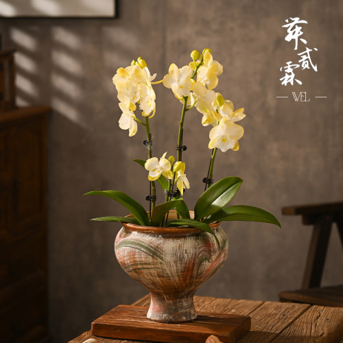 景德镇复古陶瓷花盆中古艺术手工花器蝴蝶兰专用客厅高级粗陶摆件