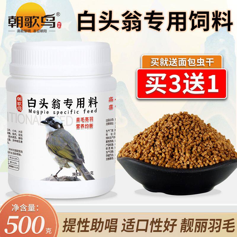 朝歌鸟白头翁鸟食鸟粮幼鸟白头鹎通用粮提性壮膘亮羽营养饲料