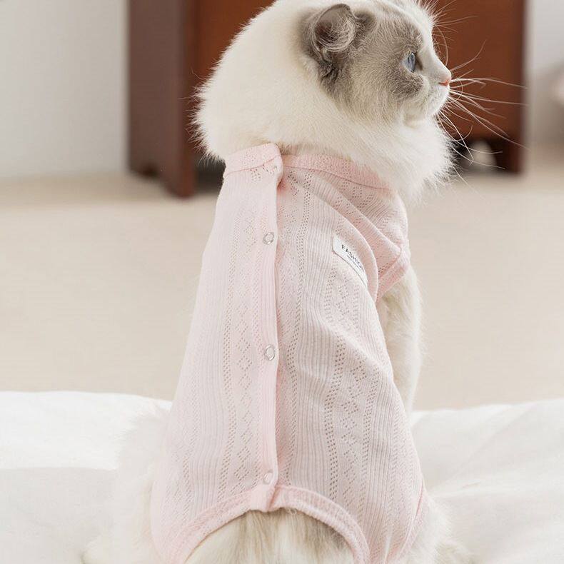 猫咪衣服包肚衣纯棉舒适防掉毛护肚衣德文小猫幼猫薄款冬季居家服