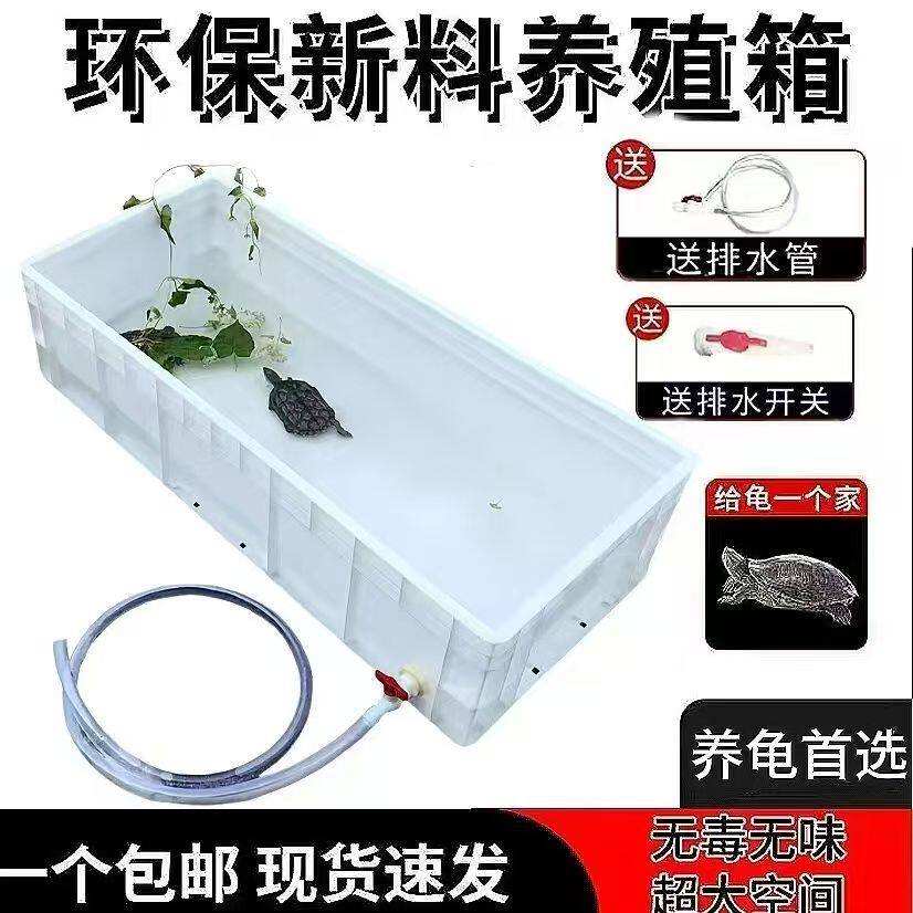 大号养殖箱加厚龟缸长方形周转箱养鱼养龟箱带排水龟池大型专用缸