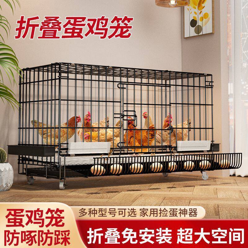 养鸭子笼子鸡笼家用加粗大号养殖笼鸡笼鸭笼折叠笼自动滚蛋鸡笼新
