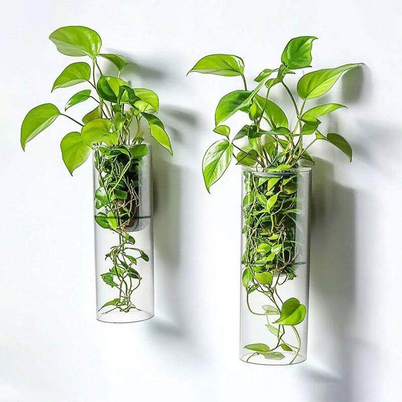 壁挂花瓶墙壁装饰简约插花绿萝植物水培容器花盆客厅挂壁器皿挂件