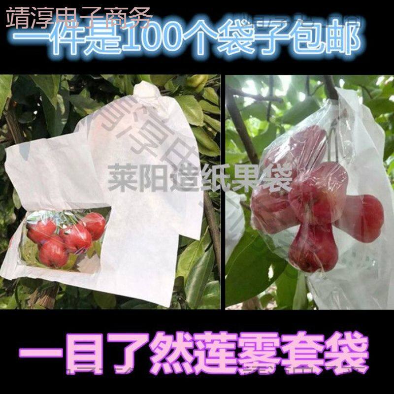 开窗半透明加厚水蓊莲雾套袋袋洋蒲桃纸袋天桃水果果袋琏雾袋