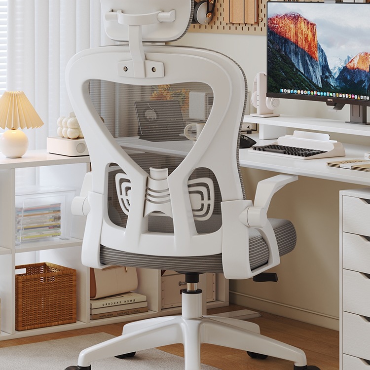 电脑椅子舒服久坐家用办公座椅人体工学电竞椅卧室书桌凳子靠背椅