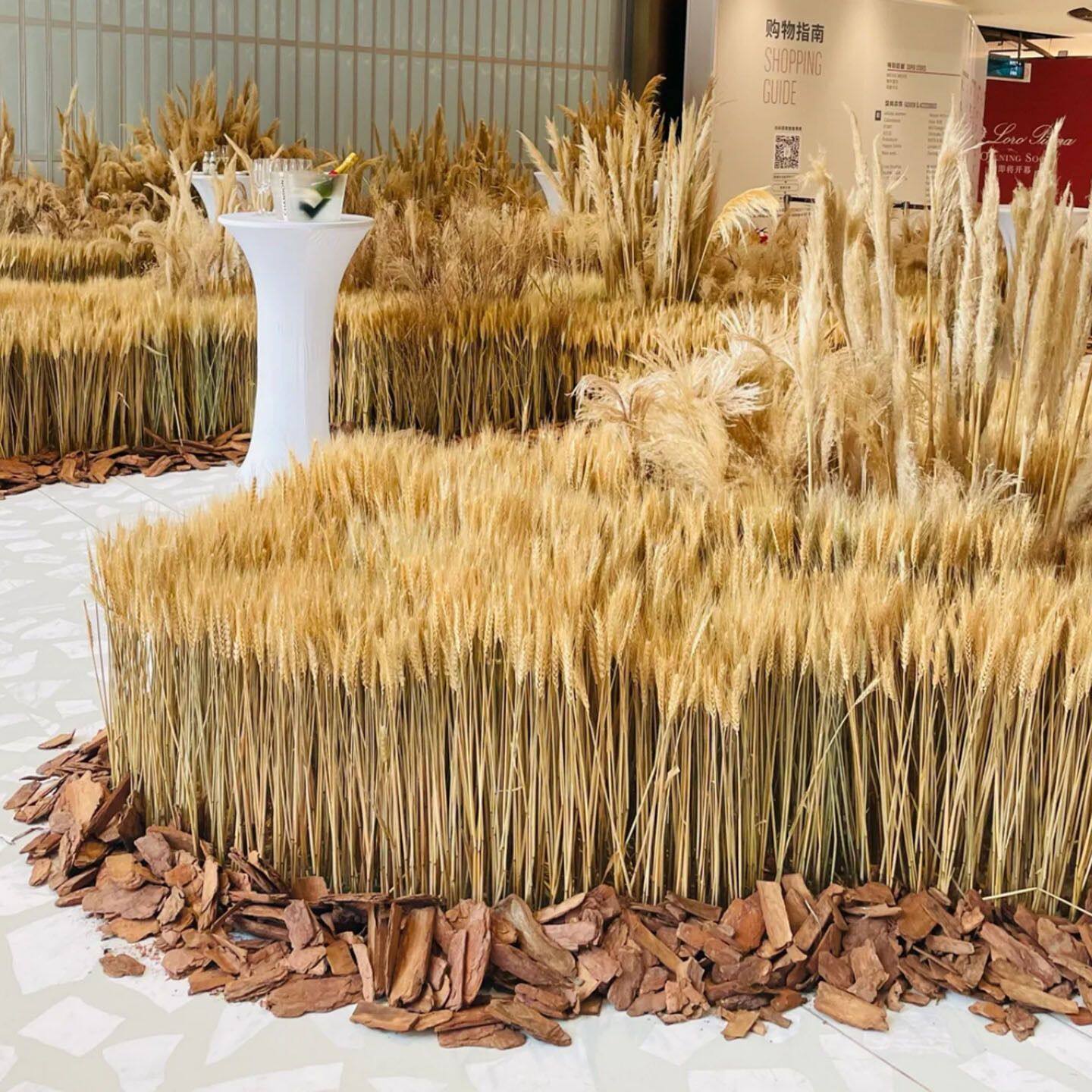 麦田造景装饰布置麦穗稻谷秋季秋收环创艺术装置秋日橱窗摆件道具