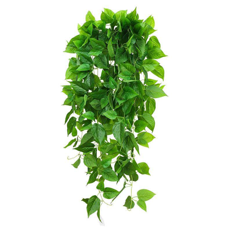 假花垂吊仿真绿植物盆栽藤蔓装饰塑料假绿萝绿叶藤条空调客厅室内,鲜花速递/花卉仿真/绿植园艺,仿真绿植,淘宝优惠券,粉丝福利购,淘宝优惠卷