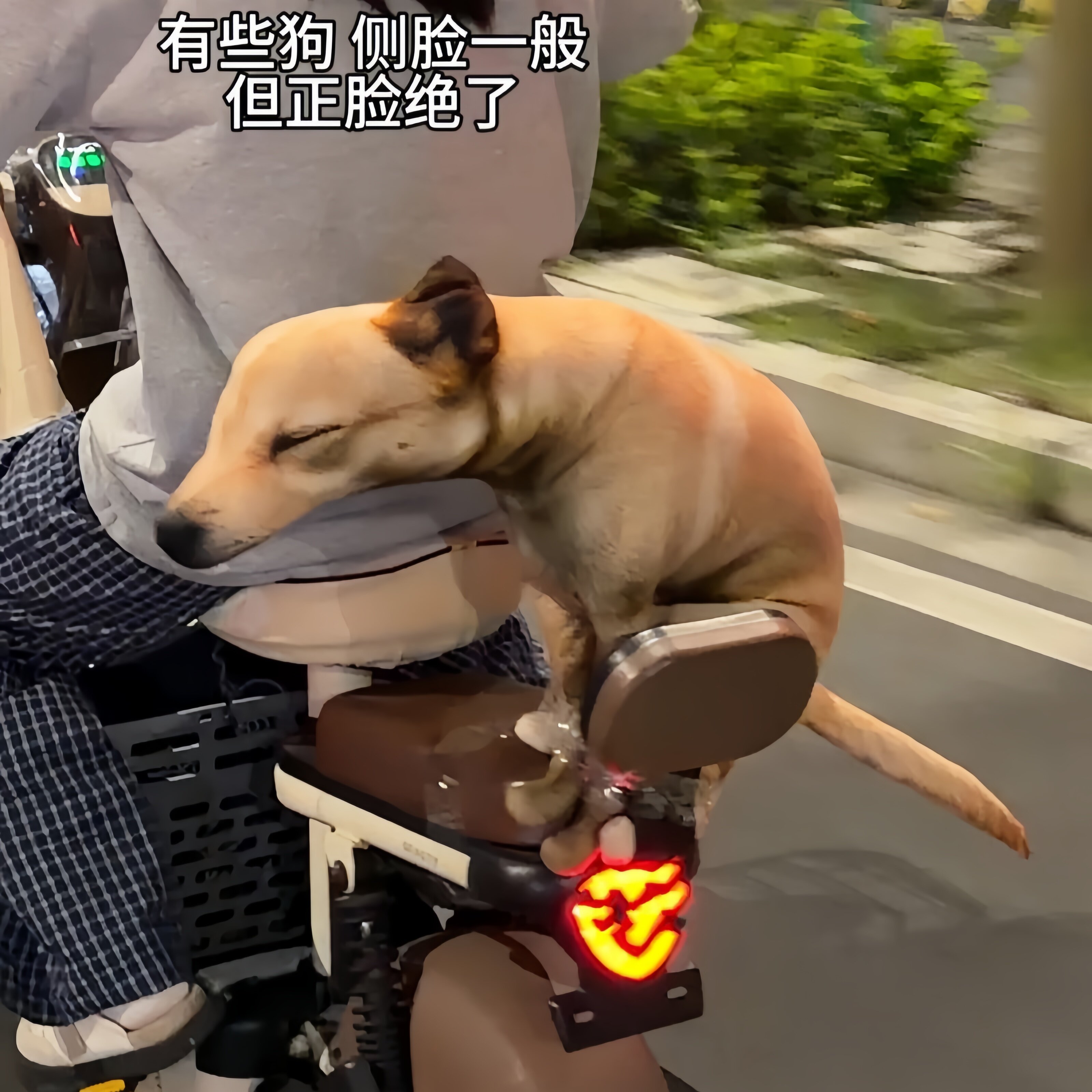 拉屎狗玩偶仿真小狗造型抱枕搞怪抽象恶搞立体毛绒玩具挂件装饰品图片