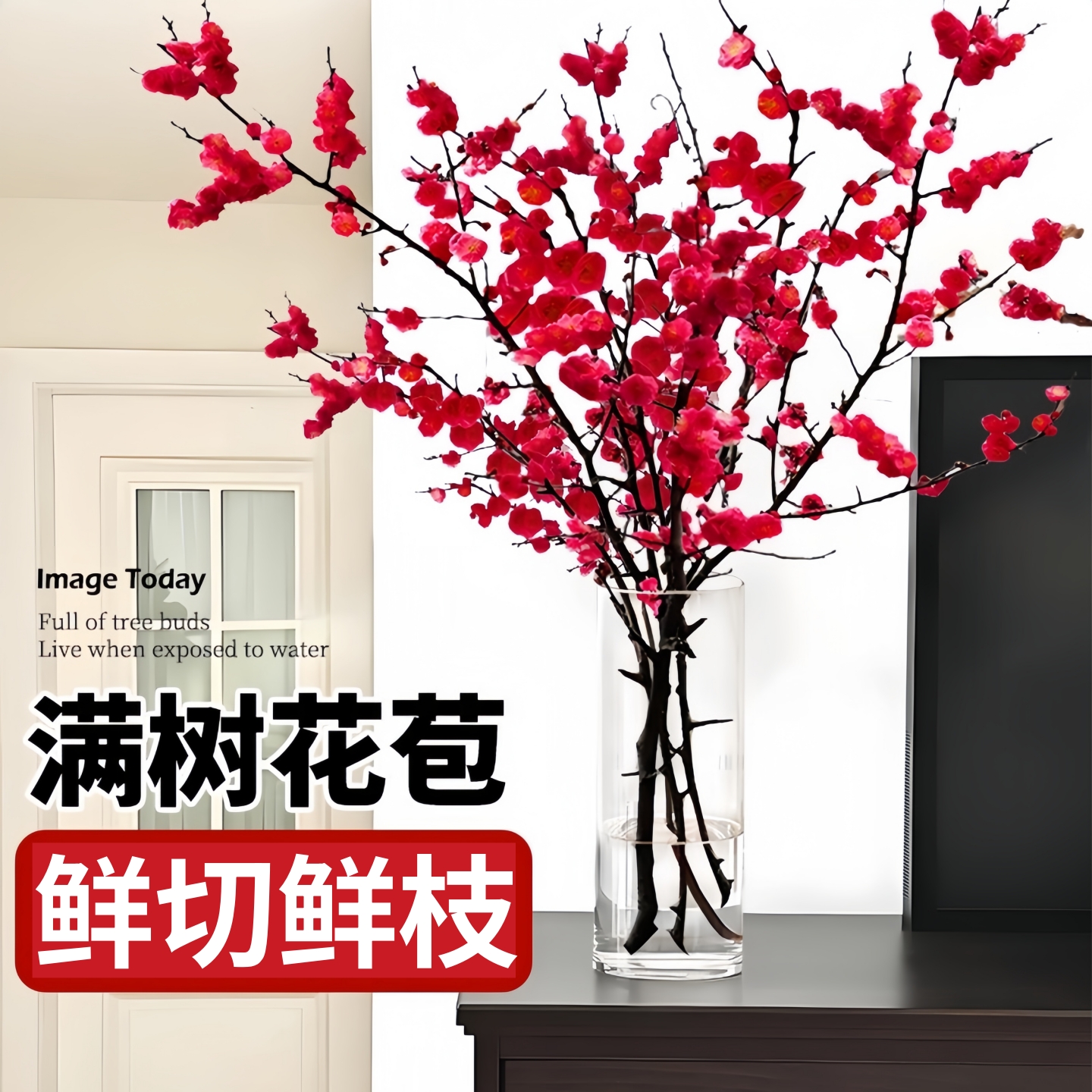鲜切红梅干枝水培桃花鲜枝条植物梅花枝室内桌面绿植盆栽雪柳带花