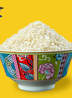 2025年胚芽米大米新米晚稻东北粳米煮粥梗米1kg送宝宝婴幼儿食谱