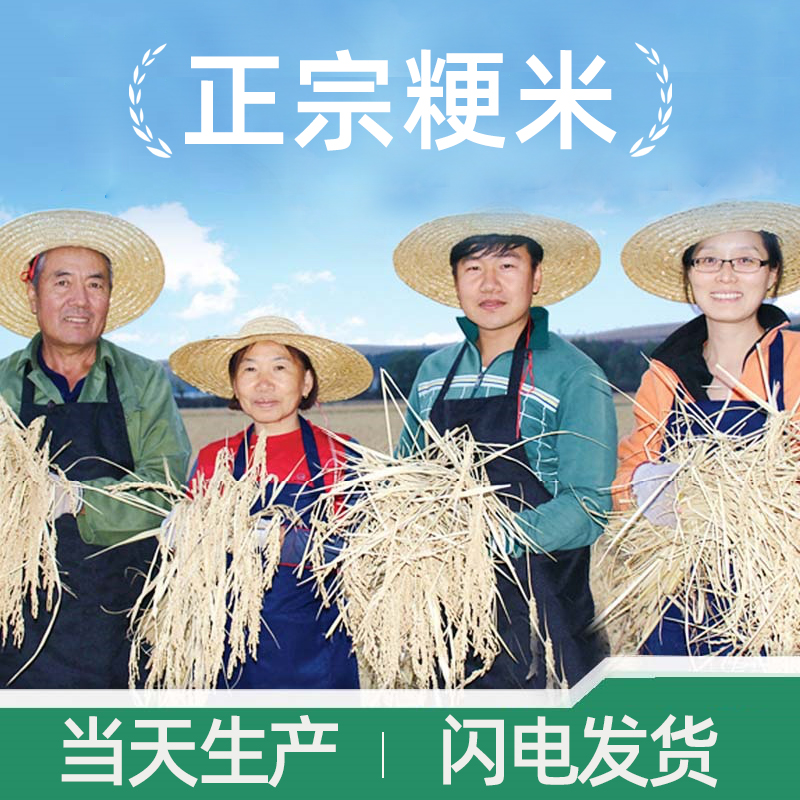 2025年粳米熬米油农家新米