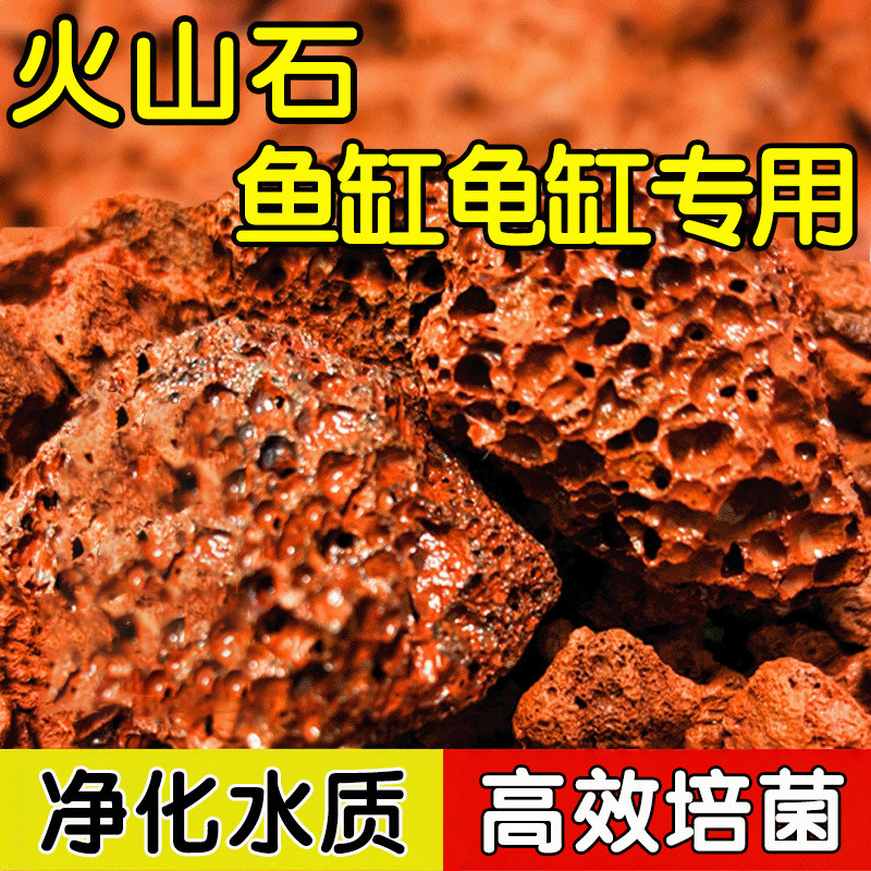 火山石鱼缸底部砂石大块龟缸专用古法养鱼滤材火山岩颗粒造景装饰,宠物/宠物食品及用品,造景/装饰,淘宝优惠券,粉丝福利购,淘宝优惠卷