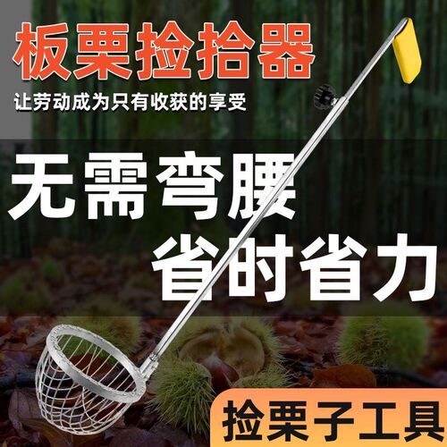 捡板栗神器捡拾不锈钢可伸缩杆捡果子捡栗子农P用工具收集器免弯